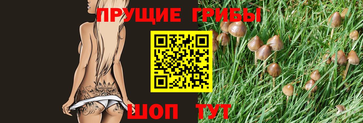 Котельники  Галлюциногенные грибы Psilocybe  Вход с VPN  Галлюциногенные грибы MAGIC MUSHROOMS 